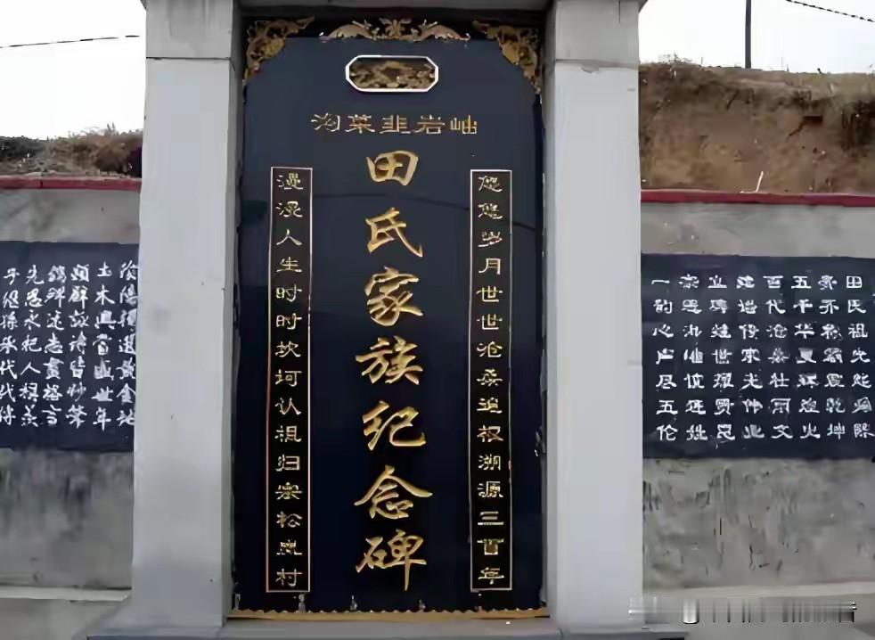 田文俊，韩国高丽海运的掌门人。这公司在韩国航运界排得上号，他本人也是实打实的财阀