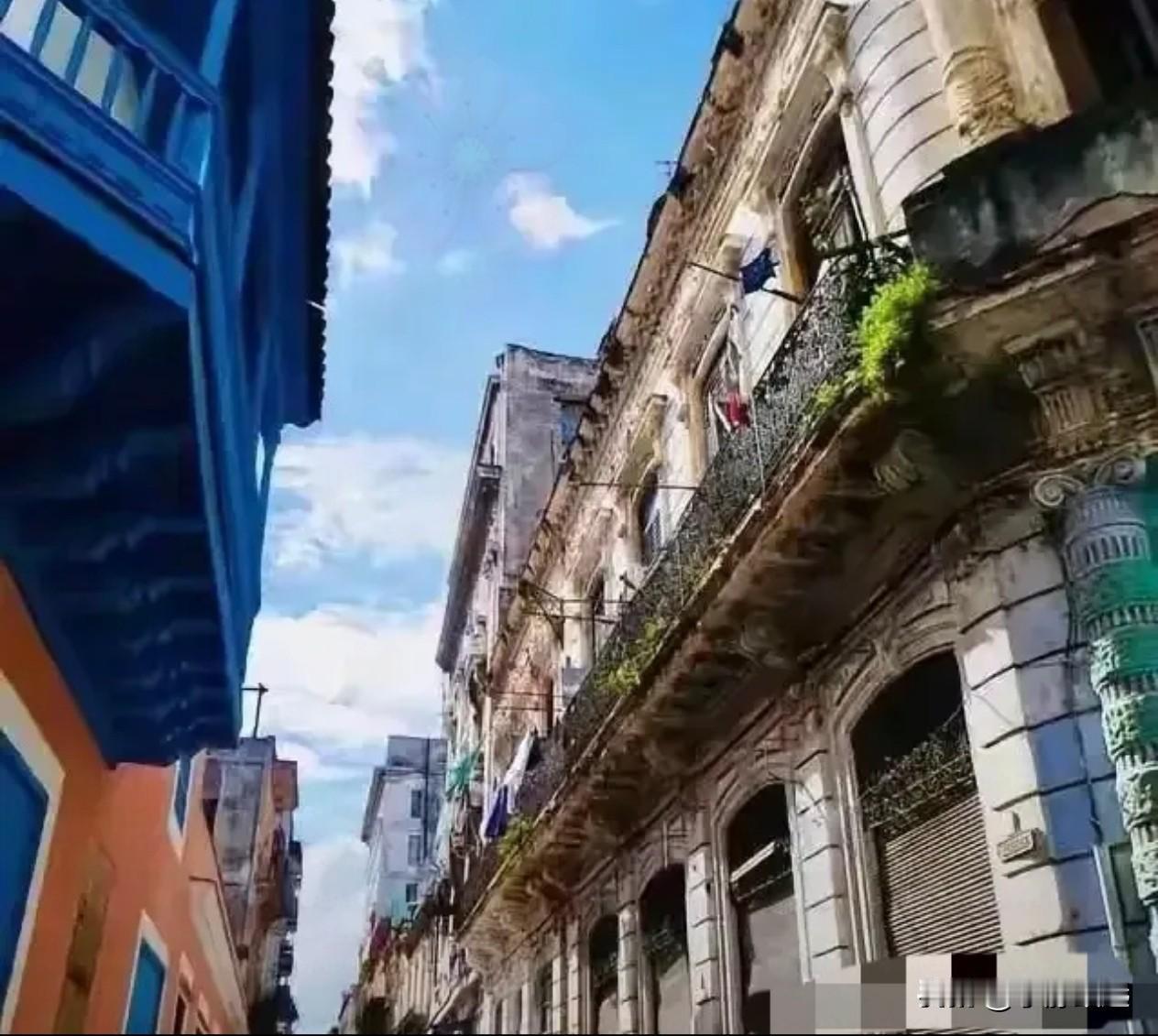 古巴人饿了，就有人给粮食，我不理解，没有战争，没有内乱，也不是鸟不拉屎的地方，土