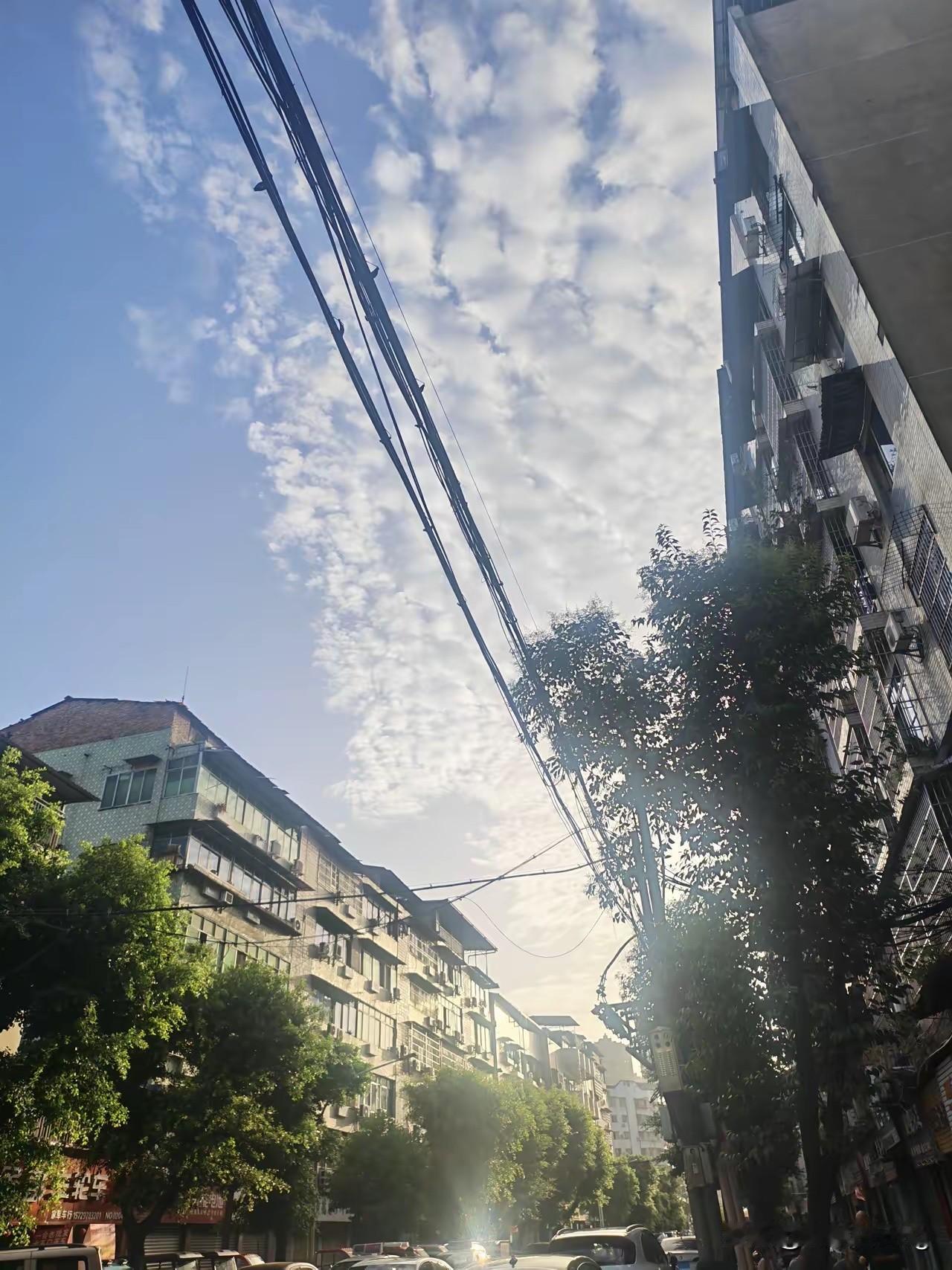 父亲离世，本来商量好老房子卖掉姐弟二人平分，收拾遗物时，衣柜夹层里翻出一份泛黄的