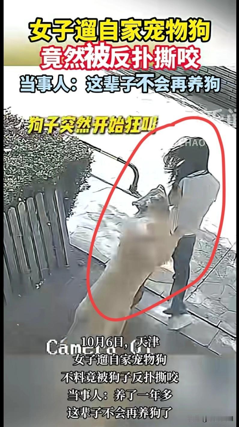 “家人们谁懂啊！天津一女子遛自己养了一年多的宠物狗，结果被狗子突然反扑撕咬！当事