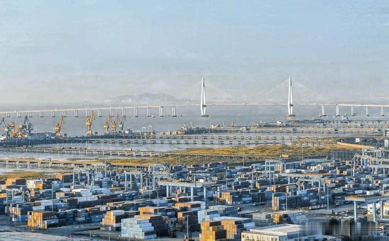 嘉兴地区最有潜力的区县或许不是海宁、桐乡，而是平湖市，因为平湖市拥有大量的港口资