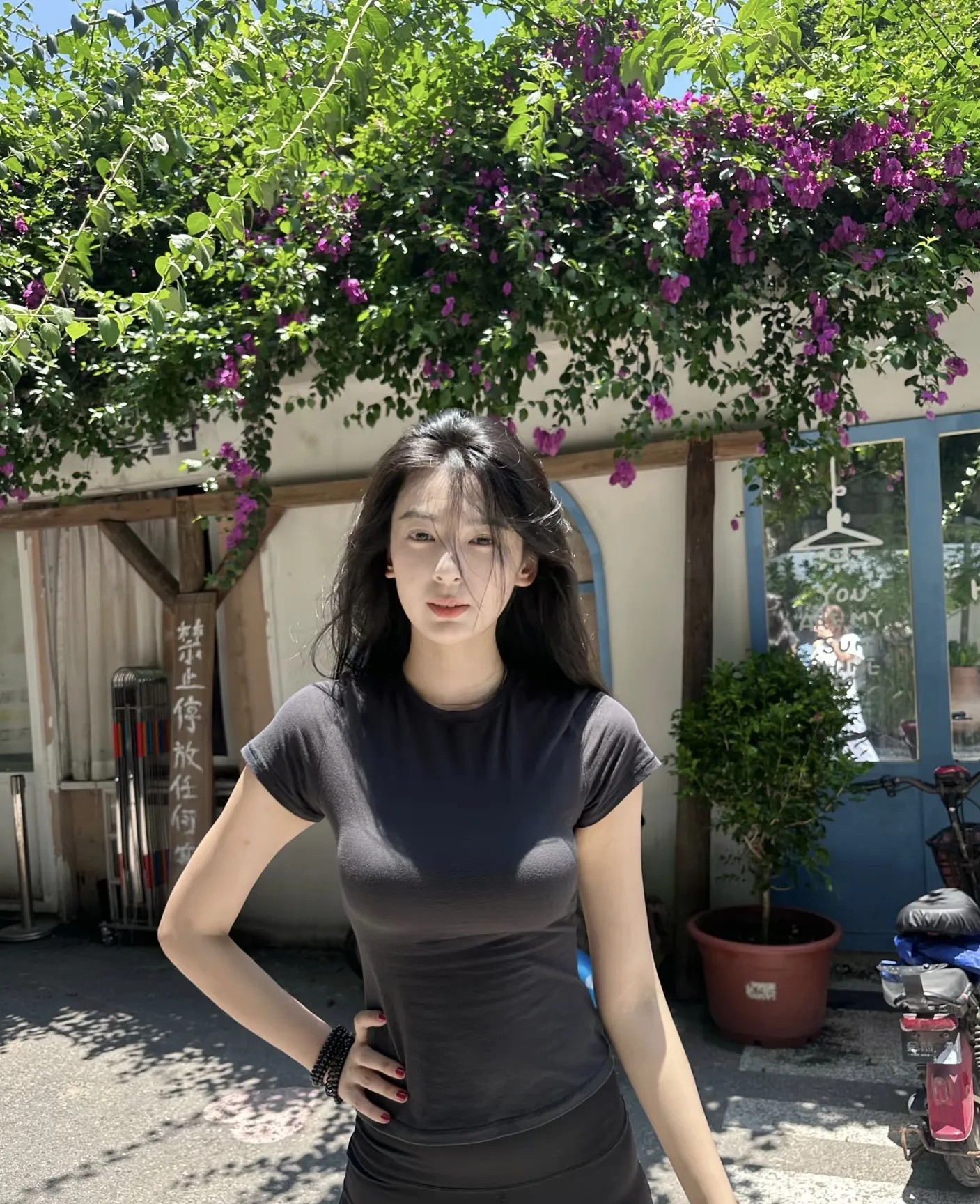慵懒的午后，阳光明媚，花开正艳