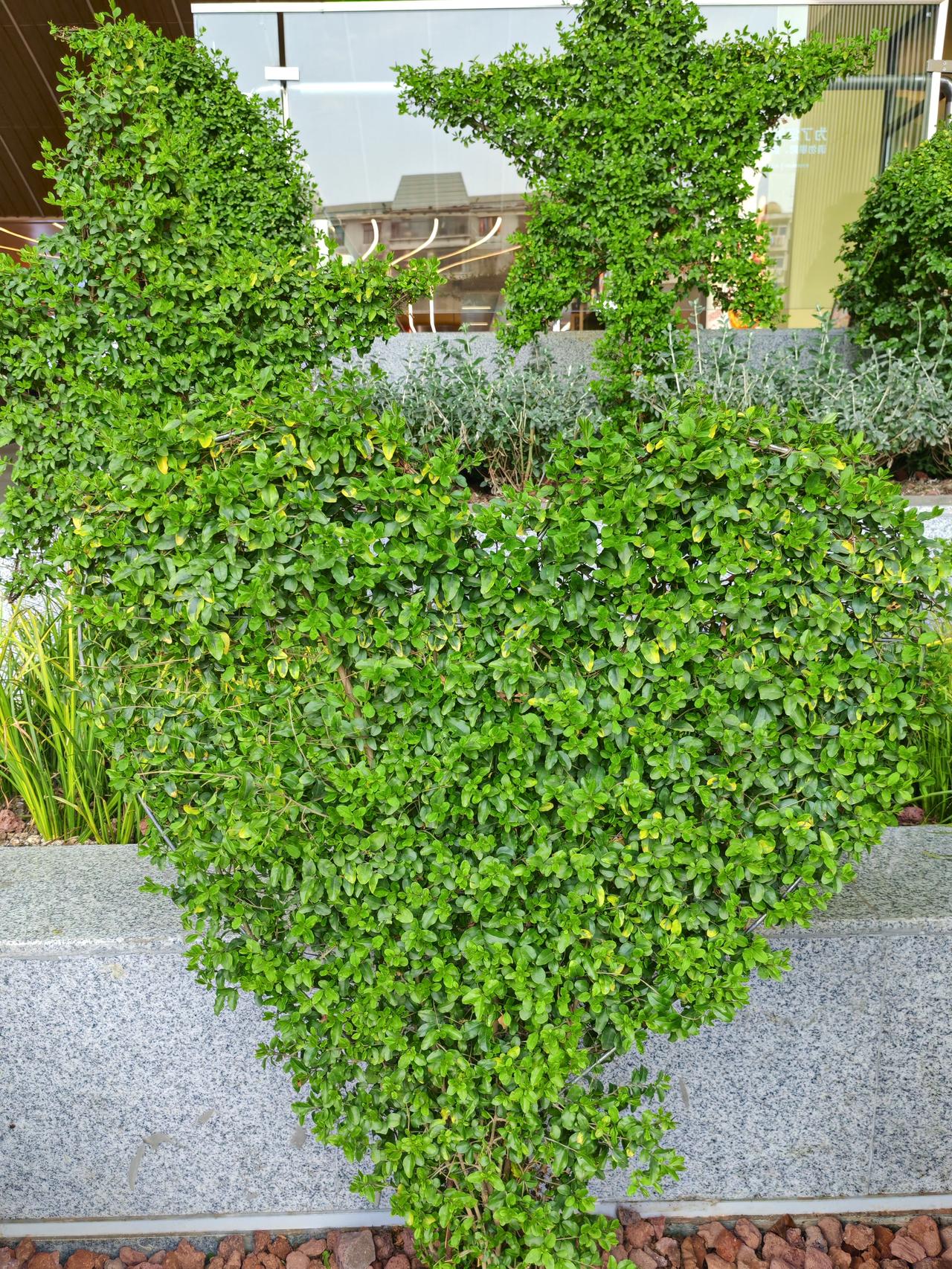 2. 别让孩子因怕离婚就不恋爱，就像不能怕花谢就不种花；婚姻虽有变数，没人能保证