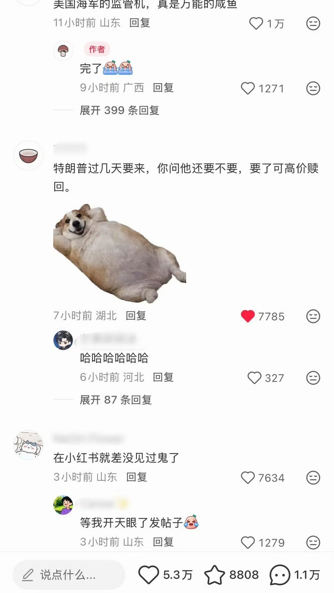 网友疑似在某鱼买了美军的平板……