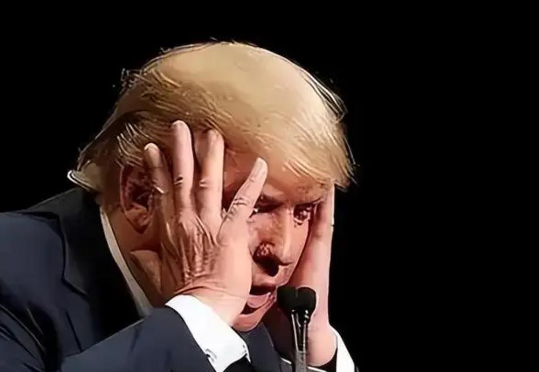 美国人后悔了，短短十几天的时间，美国对华出口生意基本被别国瓜分了，中国已经不买美