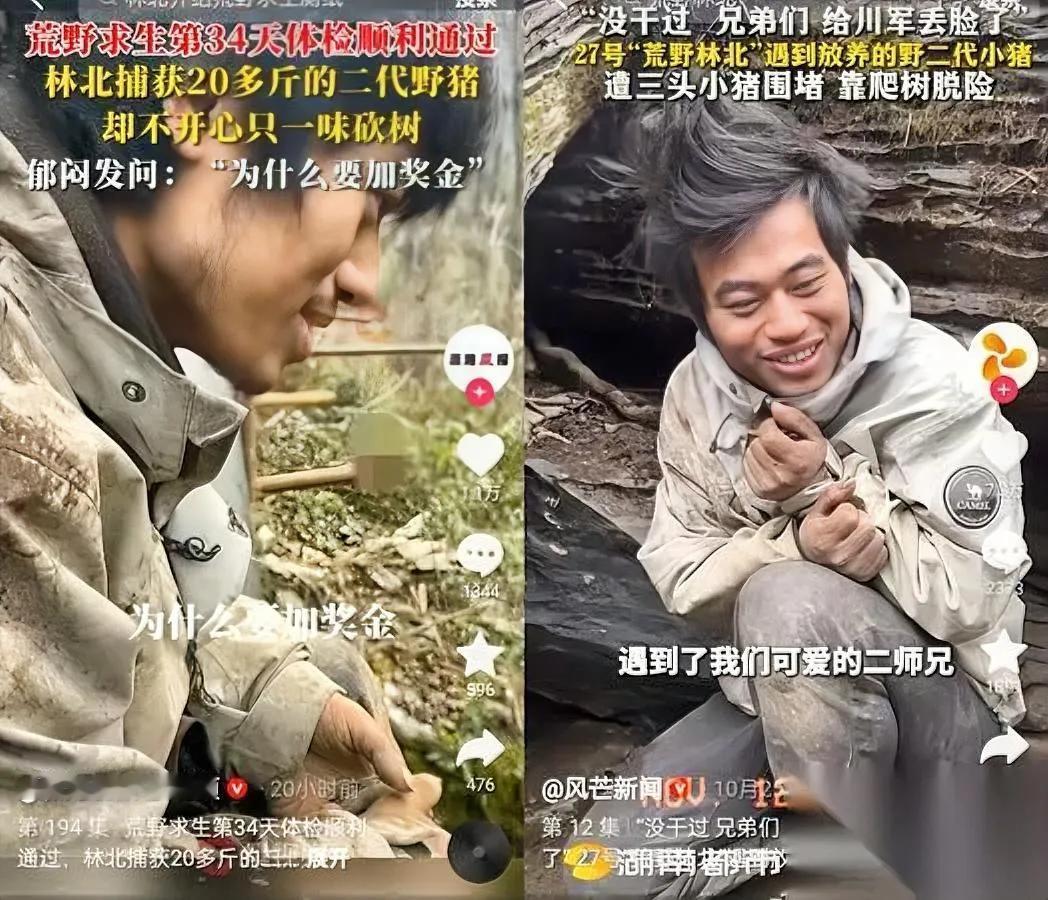 林北要拿冠军？苗王都服了！你看他在荒野干的事儿——比在家过日子还滋润！2