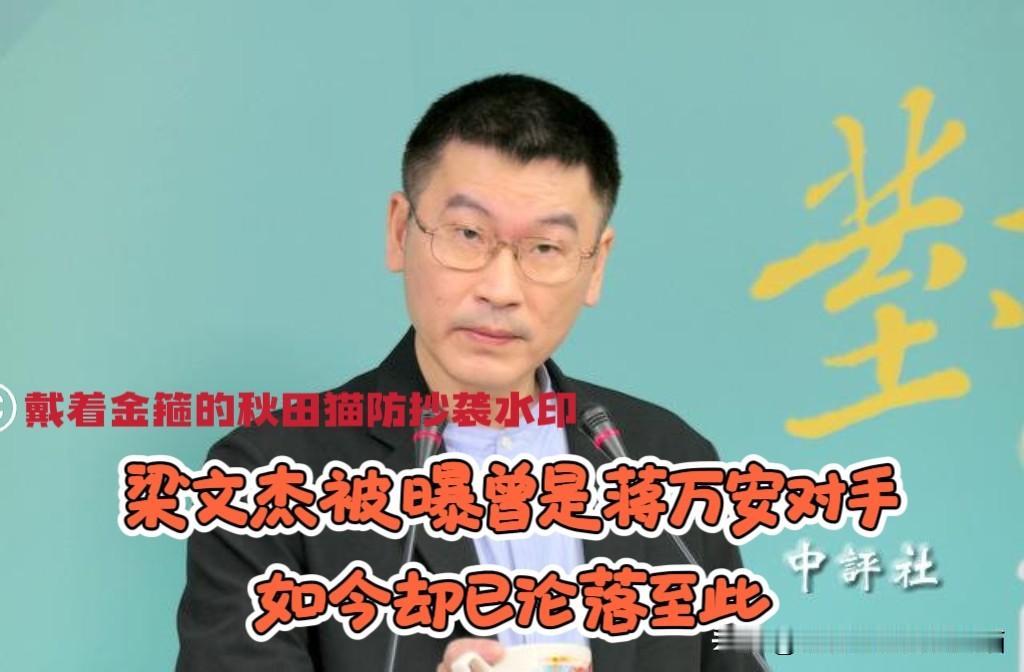 蒋万安对手竟沦落至此！董智森再爆内幕：梁文杰本是民进党爱将，还曾差点对阵蒋万安