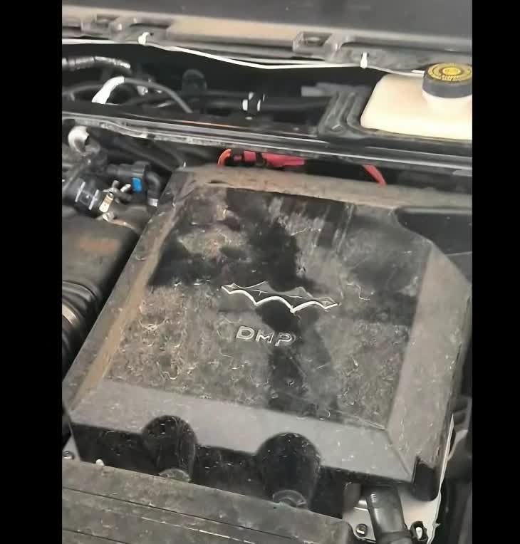 网爆方程豹钛七和唐L是同平台，说白了就是钛七＝唐L（方盒子混动版本）一鱼多吃