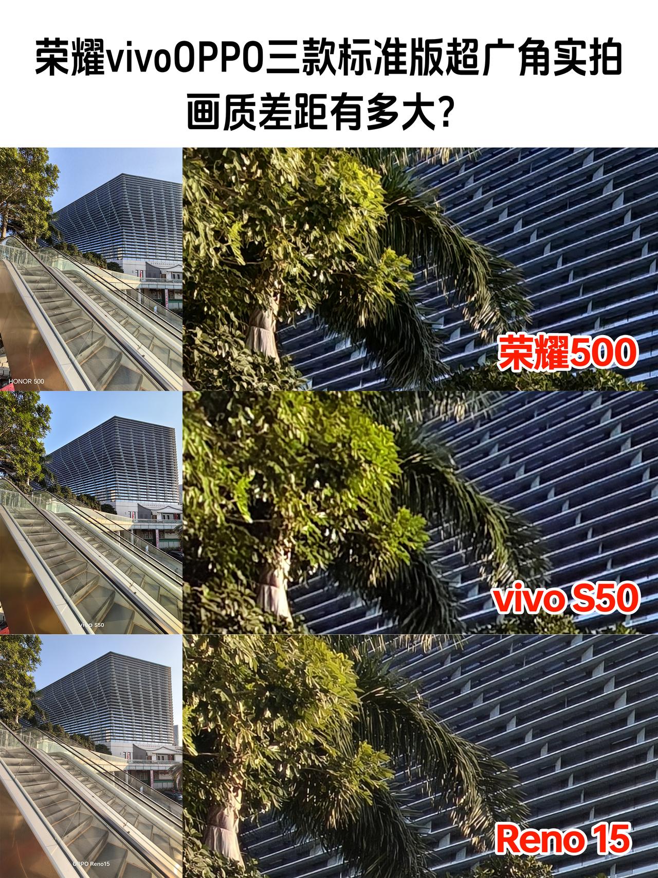 超广角实拍！荣耀OPPOvivo哪个清晰？超广角用凑数镜头这股风到底是怎么吹