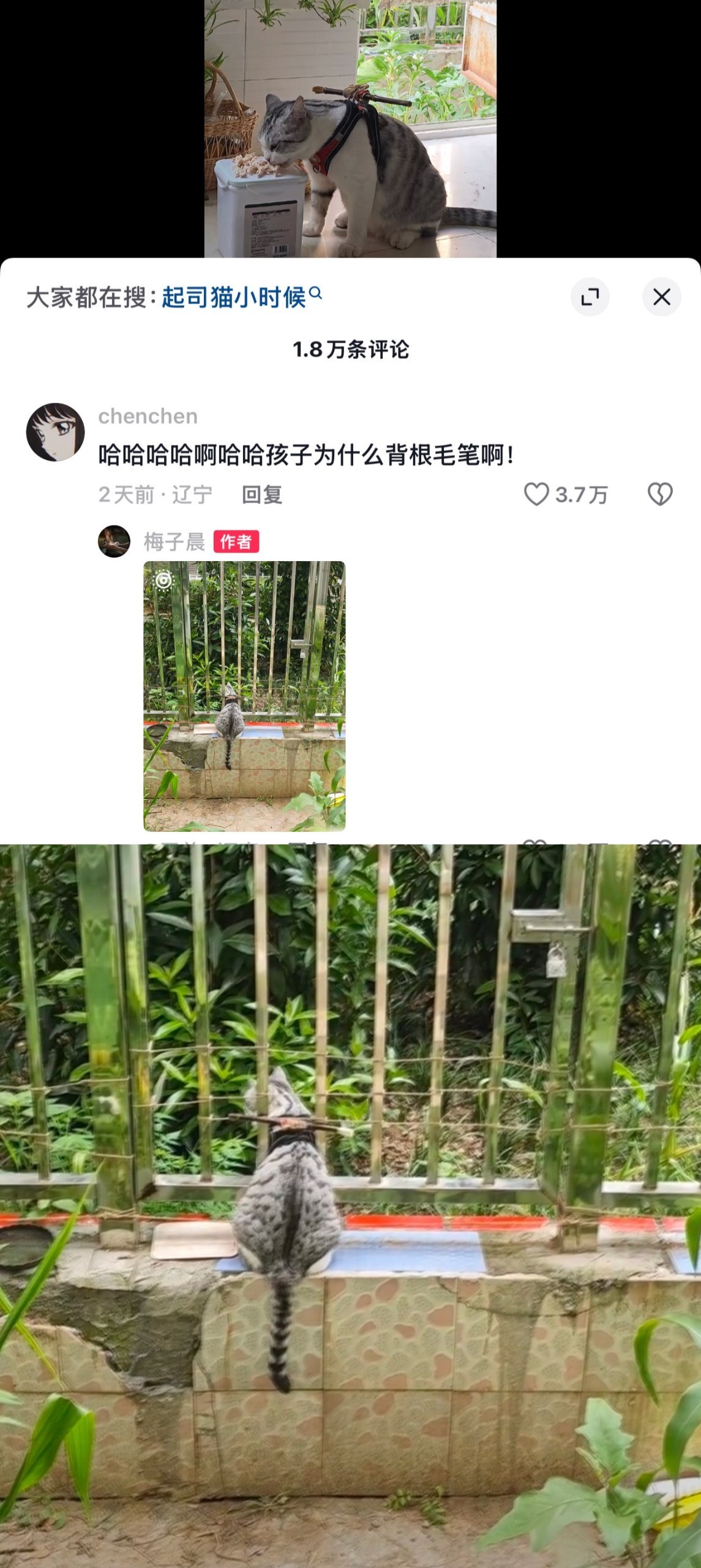 存在即合理