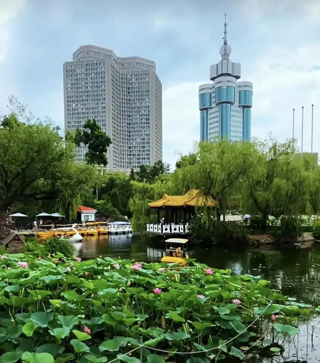 夏日炎炎，荷花却以她独有的清凉，驱散了周围的燥热，带来一阵阵扑鼻的芬芳。