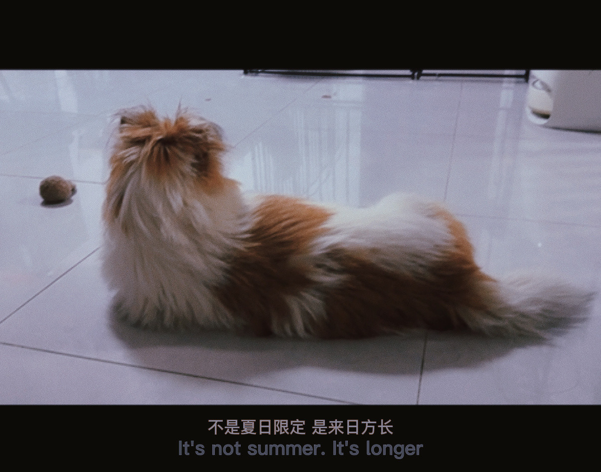 小土豆背影怪妖娆的​​​