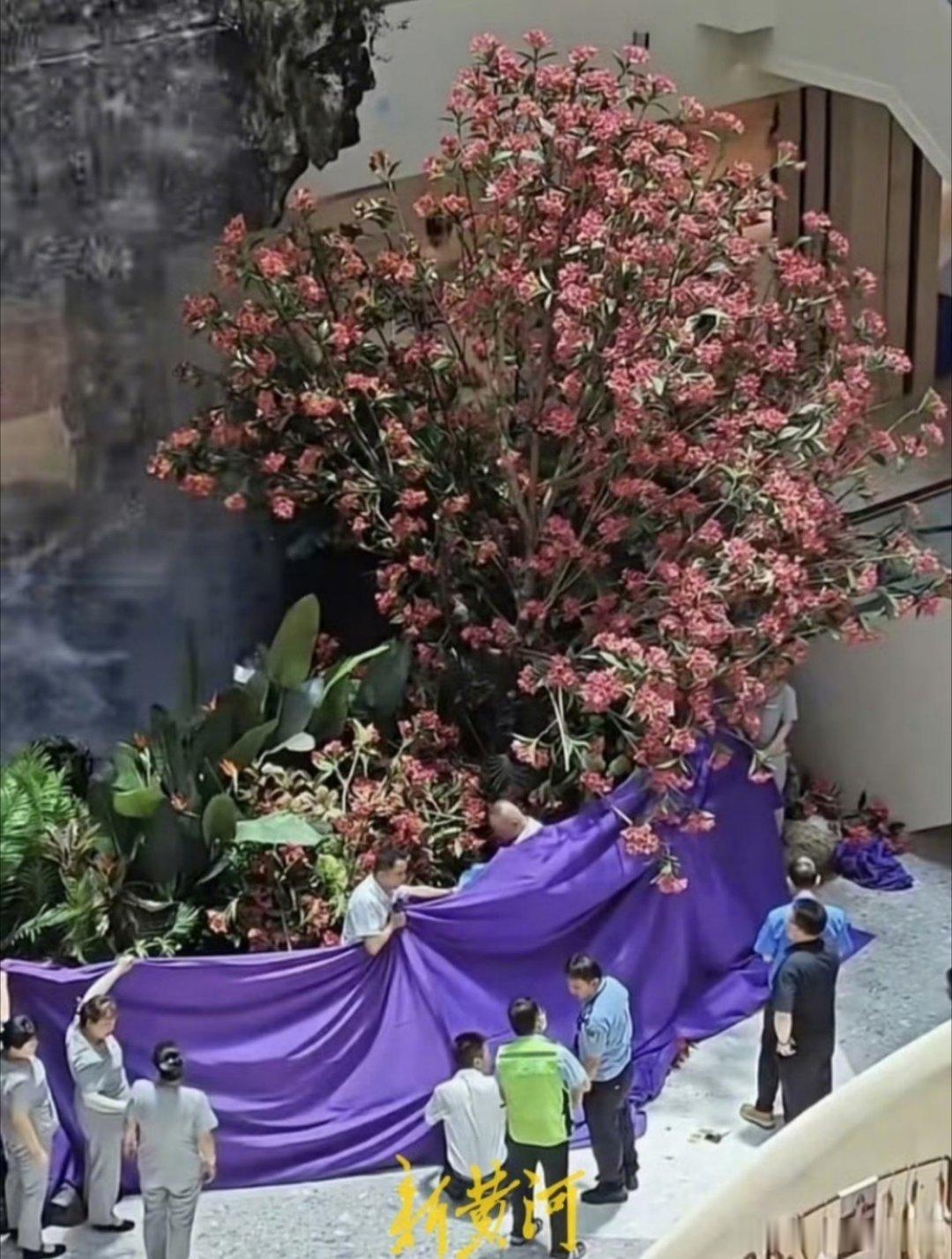 西安赛格赵贵热点解读西安赛格赵贵与严鹏的恩怨情仇浮出水面，一句“一个小时后处理