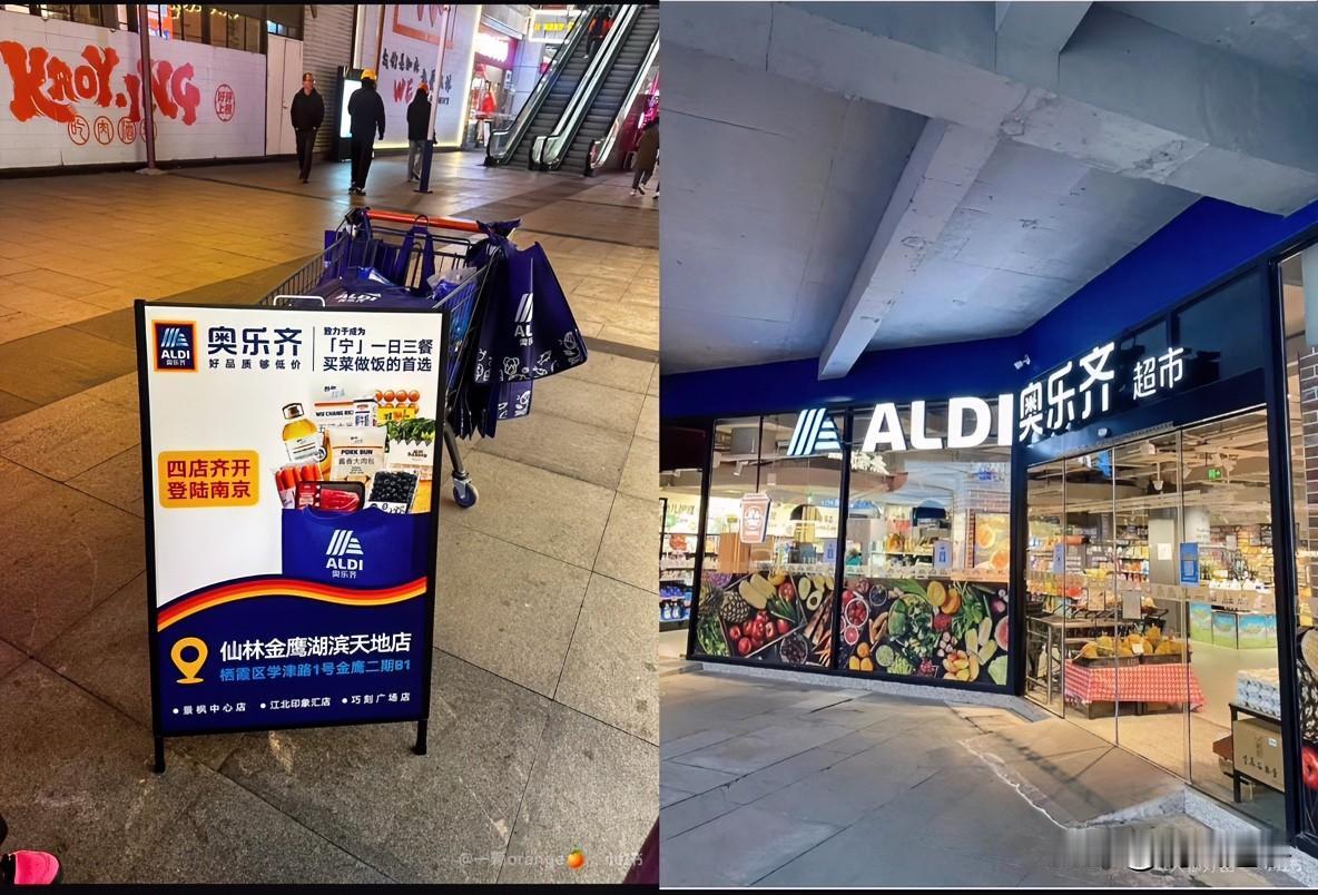 南京人这次是真坐不住了。1月24号一大早，四个商圈门口排起长龙，不知道的还以