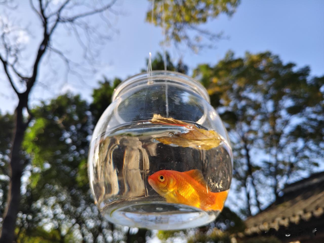 我见过一个非常自以为是的妈妈，孩子一直到上大学，她都以孩子怕她为荣。我认识她