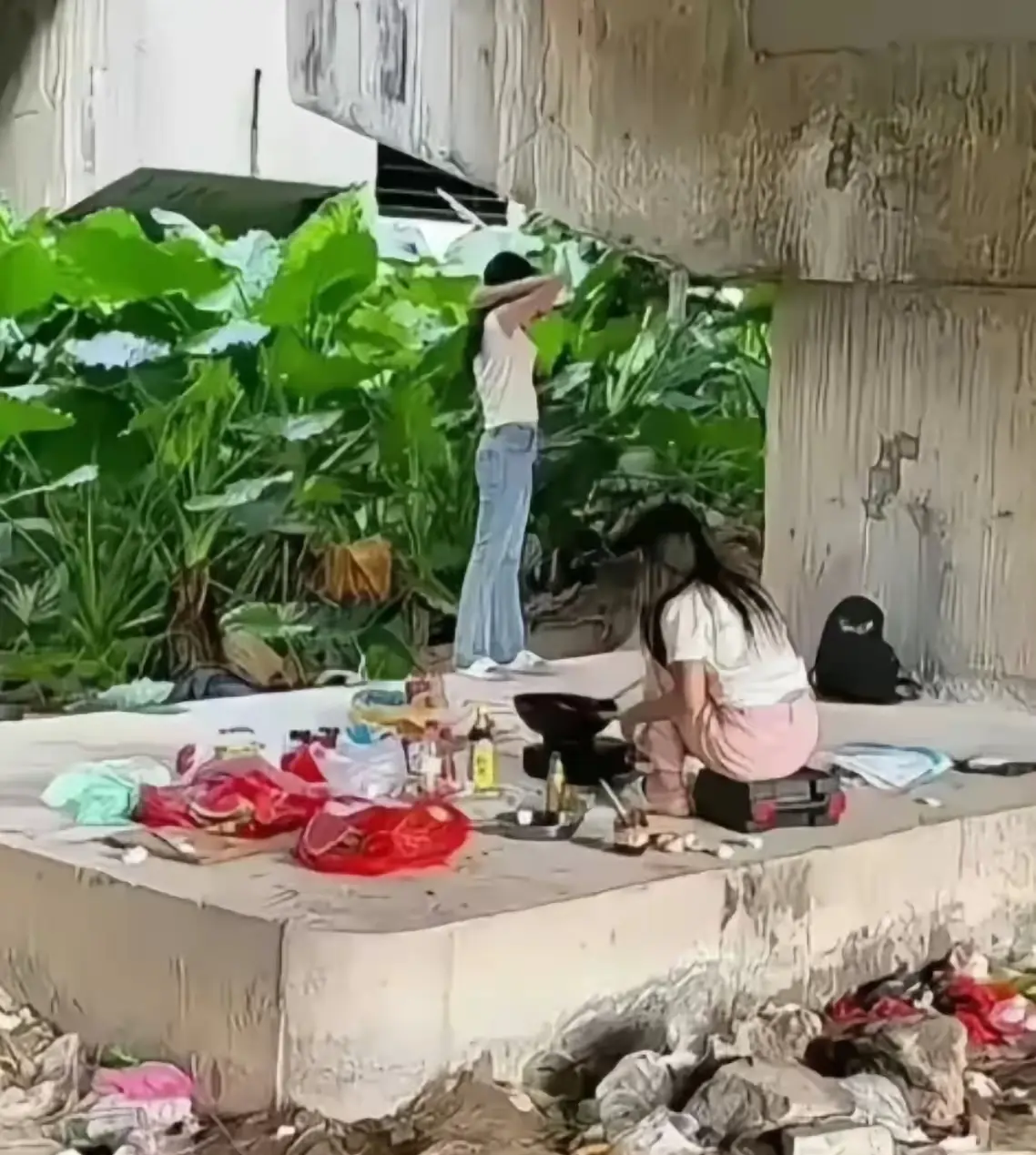 这是珠三角的高架桥下面的一角。