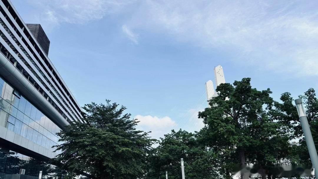 经济的底色，是确定性的坍塌：不知你发现没有，现在和很多德国、乃至欧洲的朋友聊天，