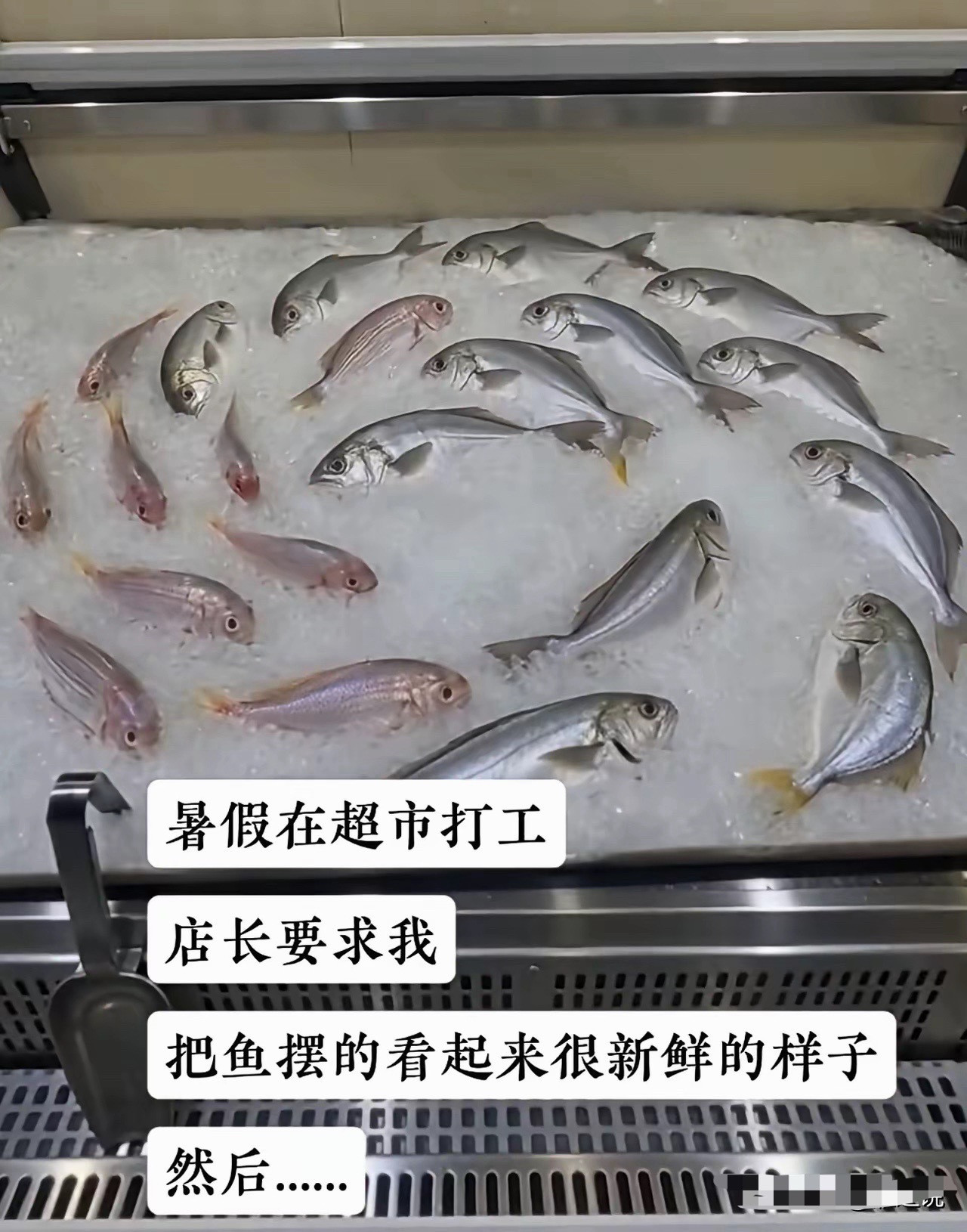 年轻的脑子就是好用