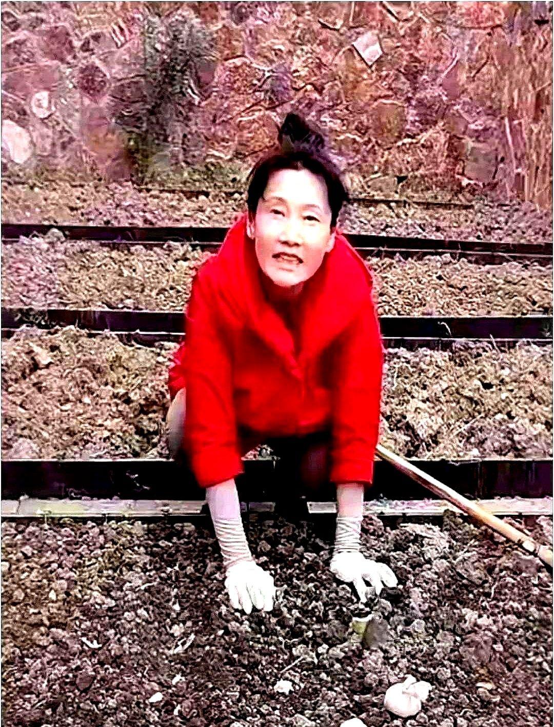 何赛飞这波直接把我整破防了！现在网上都吵翻了——有人说她活成了打工人的“终极