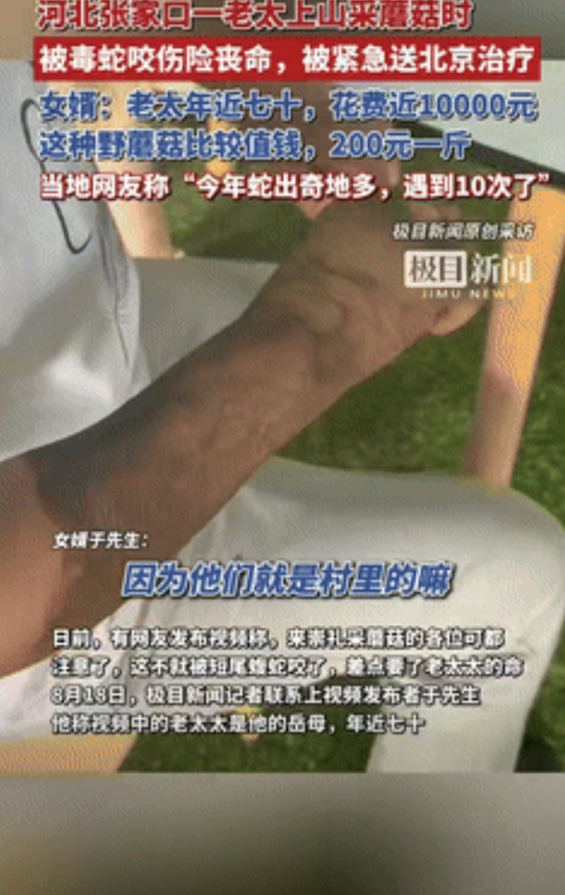 “悲剧还是发生了！”河北石家庄一年近7旬老太为挣钱，上山采野蘑菇售卖，不料蘑菇没