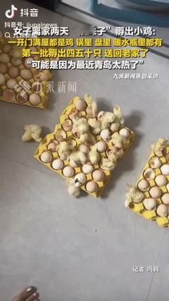 “意外的惊喜！”7月7日，山东青岛的张女士因天气炎热离家两天，没想到一回家就遇到