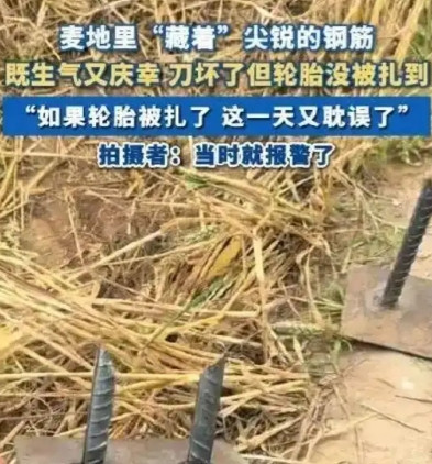 太可恶了!河北，开收割机的闫女士一阵后怕，她在给农民收割小麦的时候，竟然发现麦田
