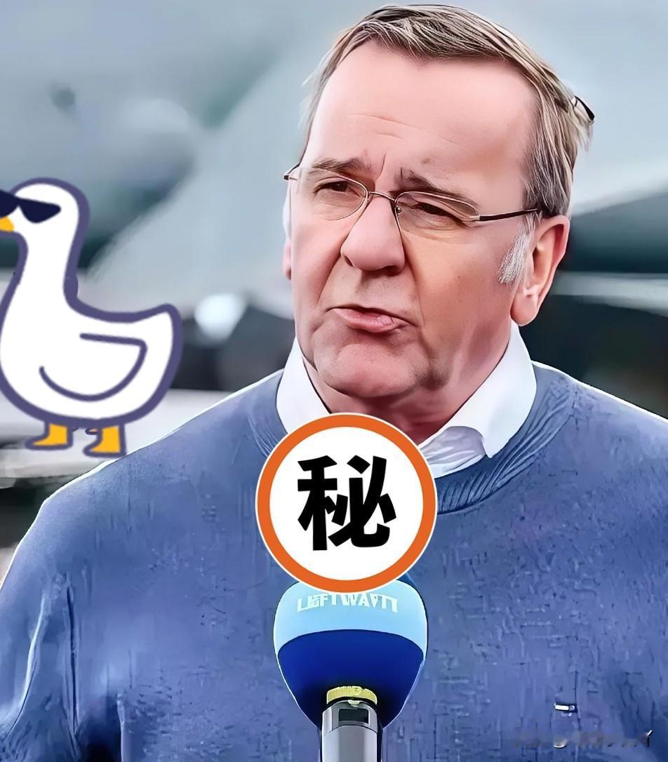 快讯，来了✓德国突然宣布重磅消息！当地时间11月14日，德国国防部长皮斯托
