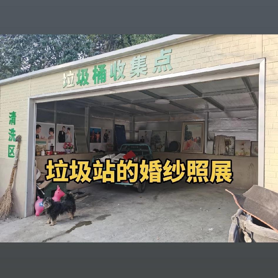 婚姻最终的归宿，垃圾站的婚纱照展，问：结婚为什么都要选个好日子？原来婚纱照最后