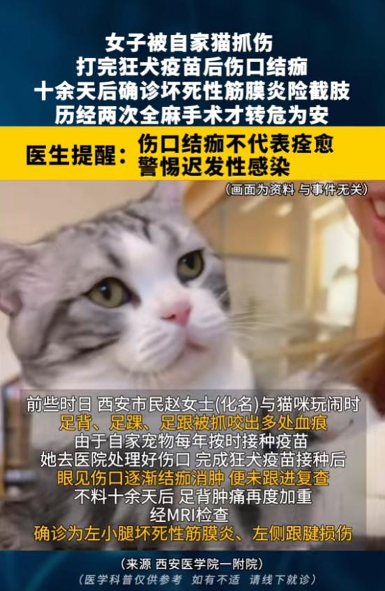 “悲剧还是发生了！”8月12日报道，陕西西安，一女子被自家猫抓伤，她打完狂犬疫苗