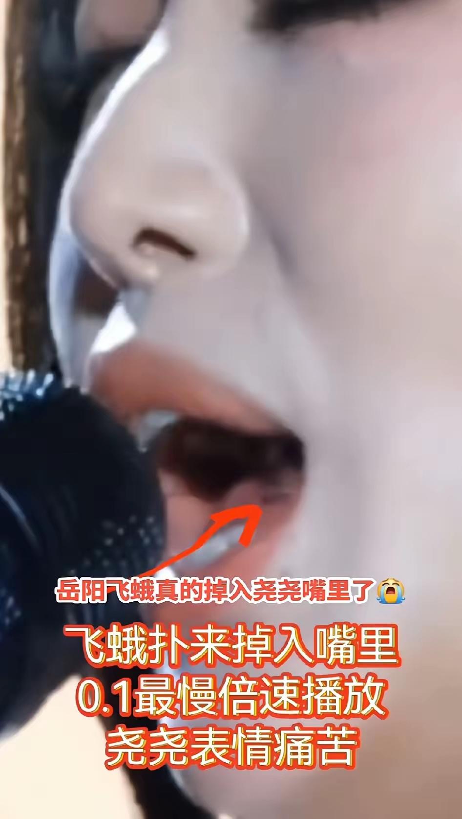 飞蛾真的飞进徐子尧嘴里了！舞台上她正深情开唱，一只飞蛾突然直冲面门，直接掉进嘴