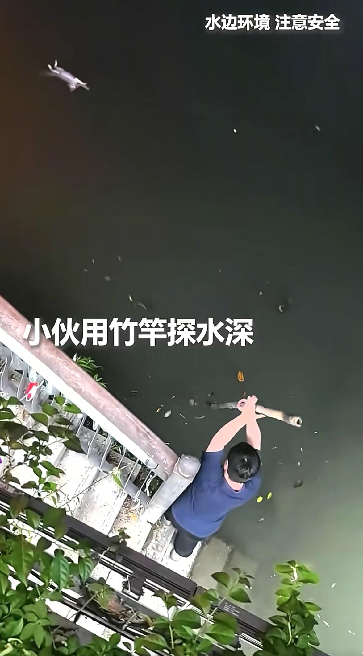 上人民日报了！成都，锦江畔上一只流浪猫落水，因为体力不支再也没有力气游向岸边