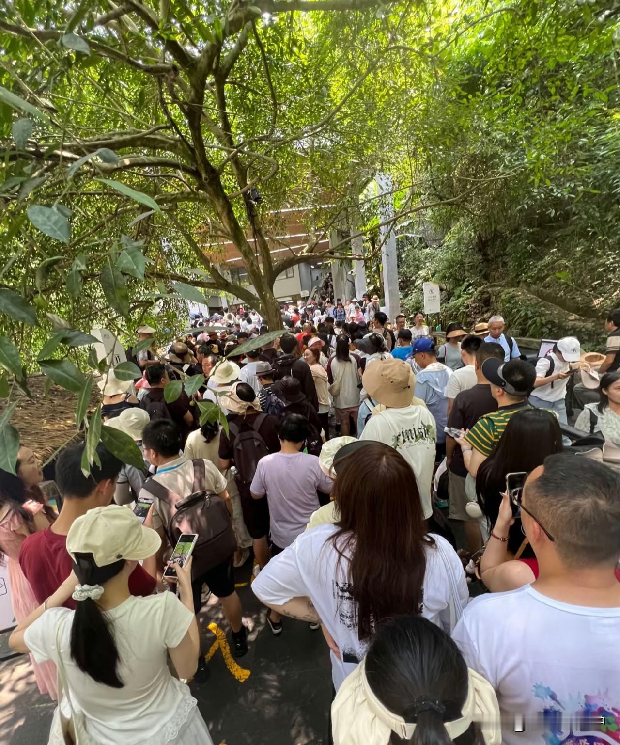 我完全认可“节假日人多正常”“早点出发能避峰”这些说法，甚至觉得只要景点够值得，