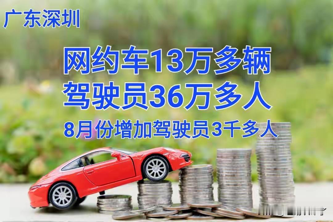 截止2025年八月份，深圳共有13万多辆的网约车，6万多的网约车司机，共有36万