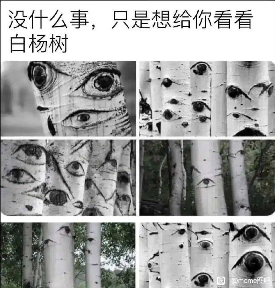 每失去一只臂膀，就张开一只眼睛才发现这是写实…