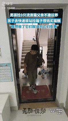 有一位小男孩，在外面捡到了三只流浪的小猫崽。他把小猫崽带回家后，遭到了父亲的强烈