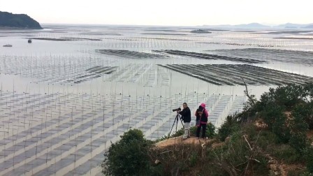 霞浦总人口_霞浦滩涂