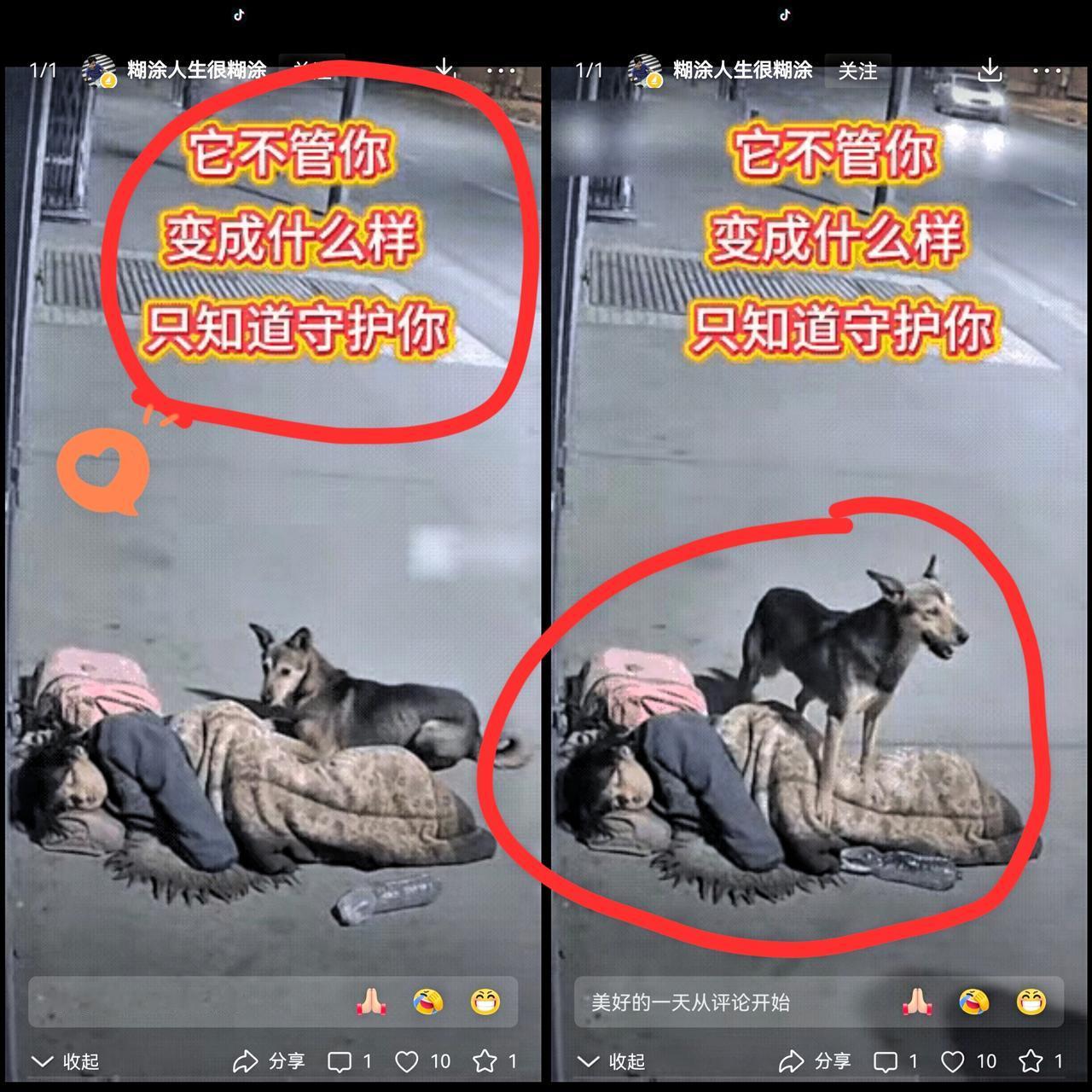 一名流浪女子睡在马路边上,流浪女子旁边守着一只狗狗!刚有个陌生男人想凑过去,那狗