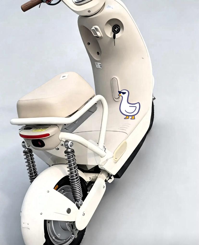 专家定标不骑车？新国标电动车痛点拷问制定者！