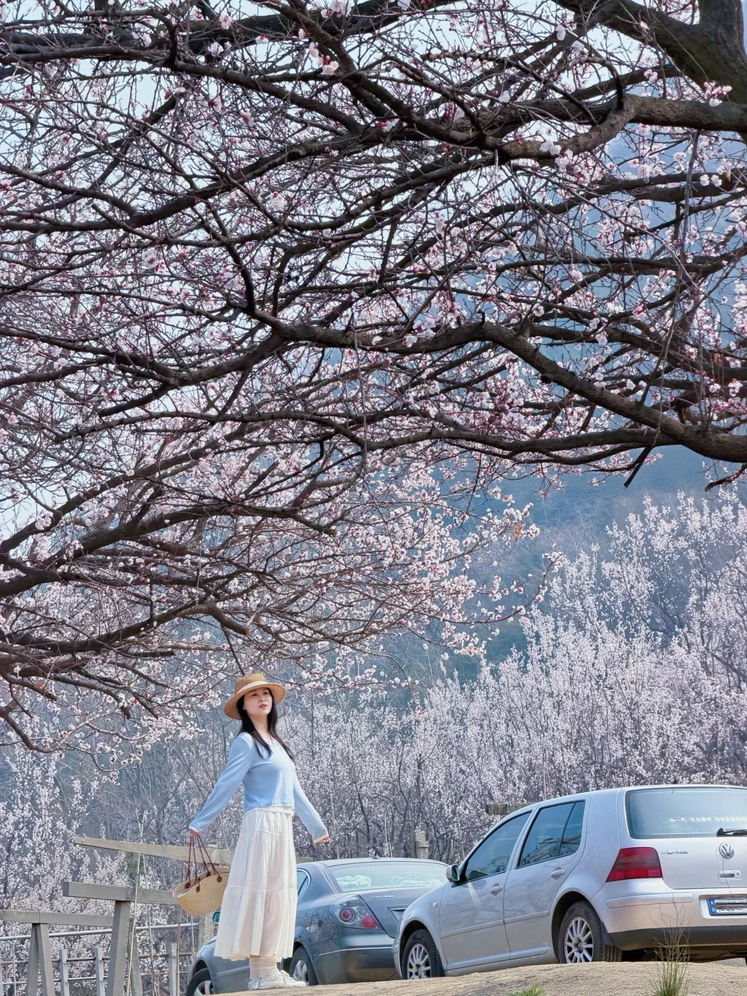 西安春日秘境🌸这才是春天最舒服的打开方式