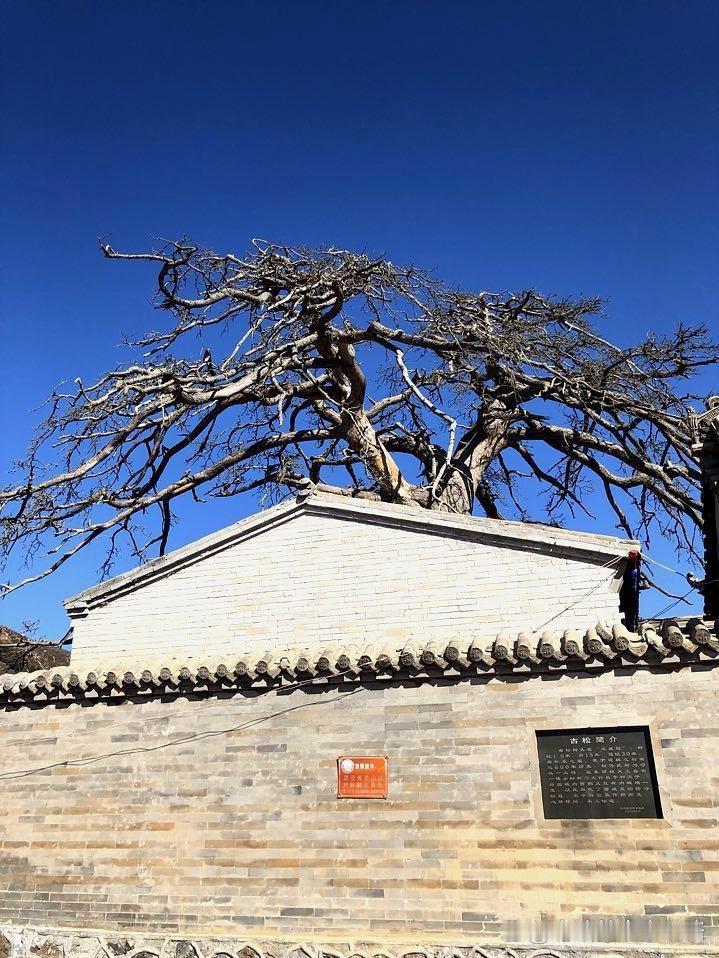 张家口小众秘境｜七星庙一日游全攻略谁说张家口只有大境门？本地人私藏的小众景点