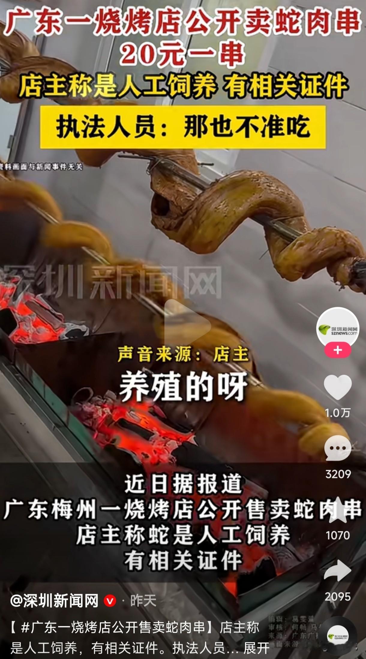 你吃过蛇肉串吗？广东一烧烤店公开卖蛇肉串，20元一串，执法人员回应不管是人工养