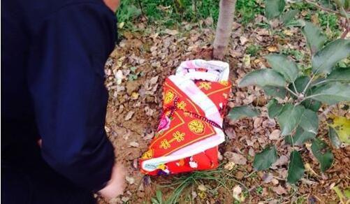 男孩连跳两级引起家长轰动, 家长拜访他父母懵了, 男孩的回答众人落泪