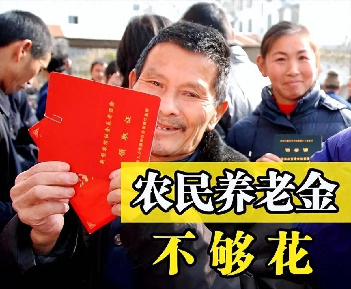 我从小在农村长大，虽说后来走出了乡村，成了别人口中的“城里人”，但我的根还在农村