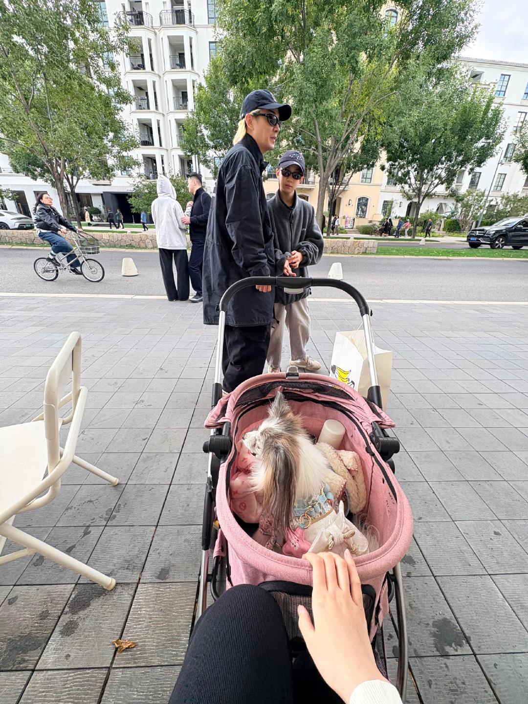 #李承铉偶遇的狗都像戚薇#我要被这个李承铉笑晕了李在阿那亚遛狗偶遇一网友正在遛狗，谁能懂这狗狗的模样
