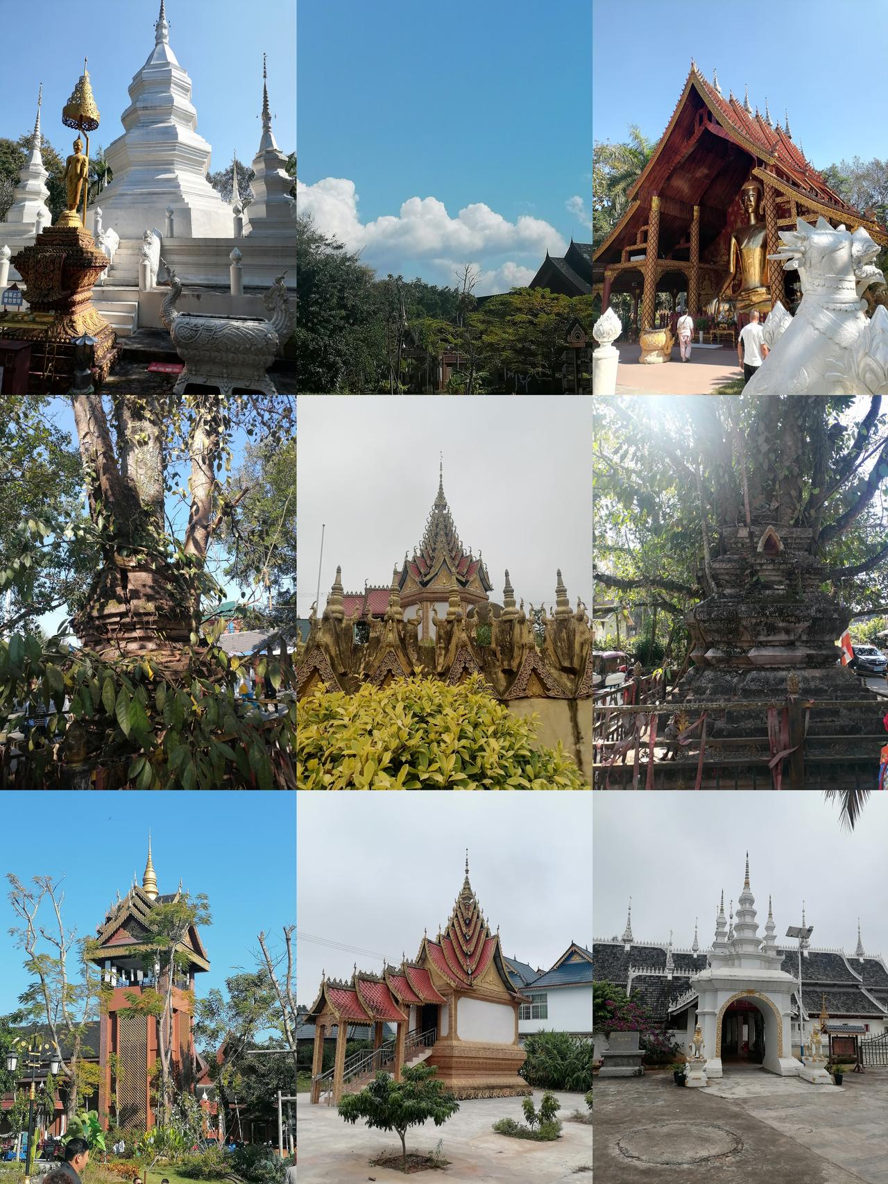 西双版纳避寒体验与评价！到西双版纳避寒已10天，在“告庄”一酒店（不包