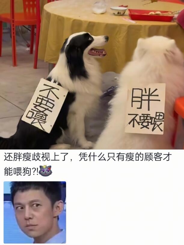 狗吃了没文化的亏🤣
