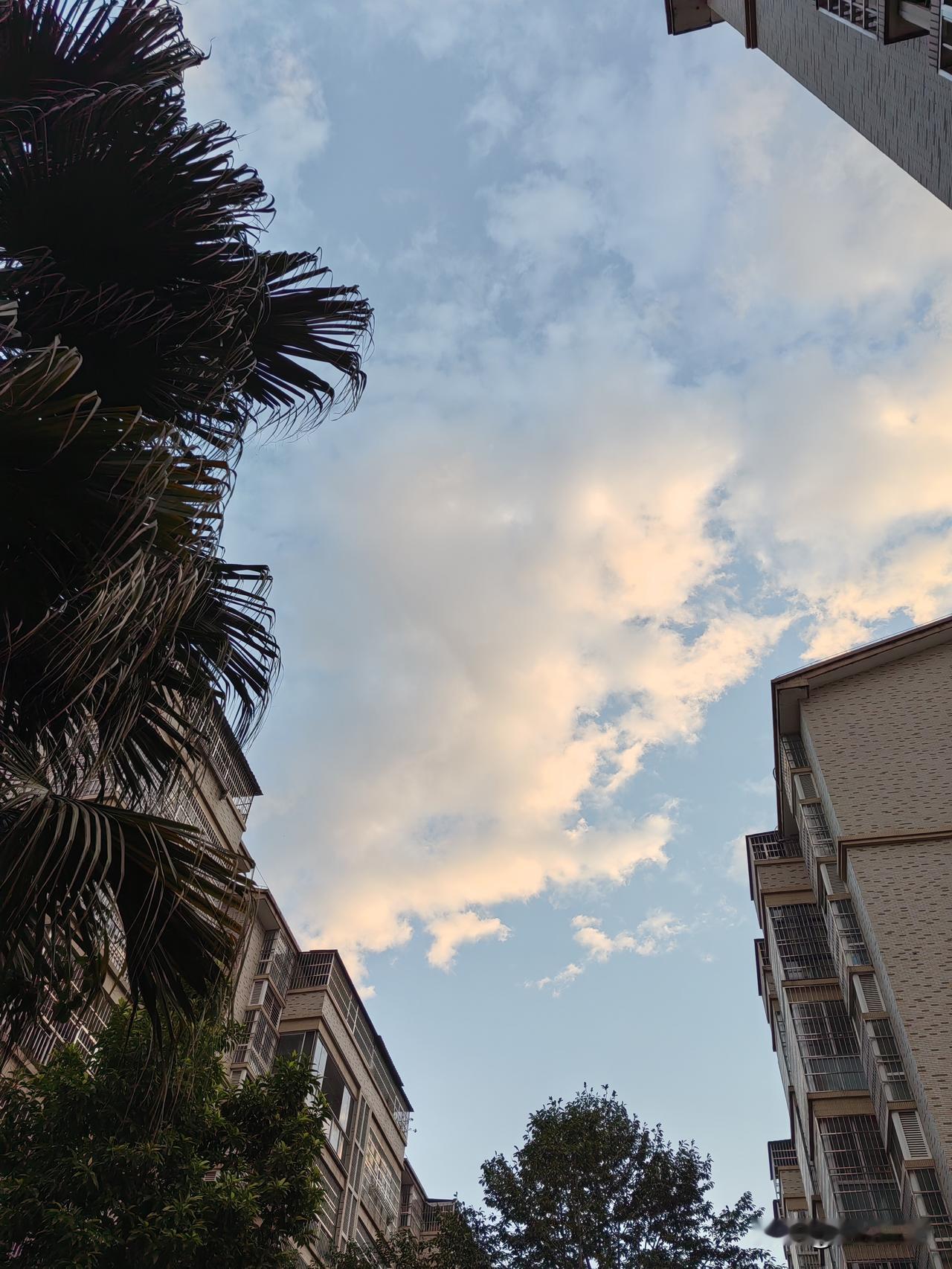 不入局就是最大的阳谋！成年人受到的伤害，大部分都是情绪造成的。别人抛过来一