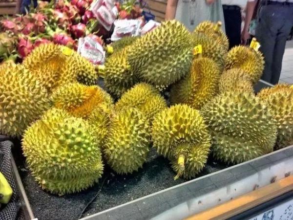 去海口买低价猫山王榴莲，这事儿得好好琢磨。最近海南榴莲上市挺火，万宁、陵水都有收