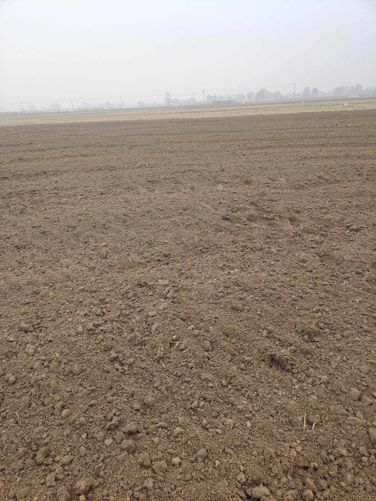 天下最好的关系，就是夫妻关系，没有之一。会经营夫妻关系的，一般都会很幸福