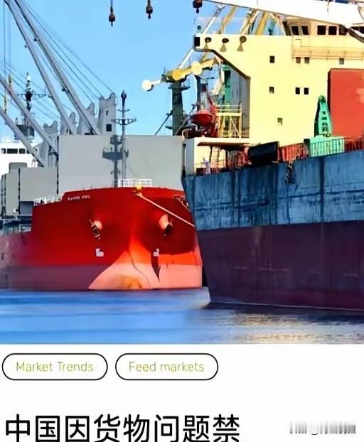 要我说啊，这6.9万吨巴西大豆被退回，真不冤。事儿虽然是最近发生的，但这几家出口